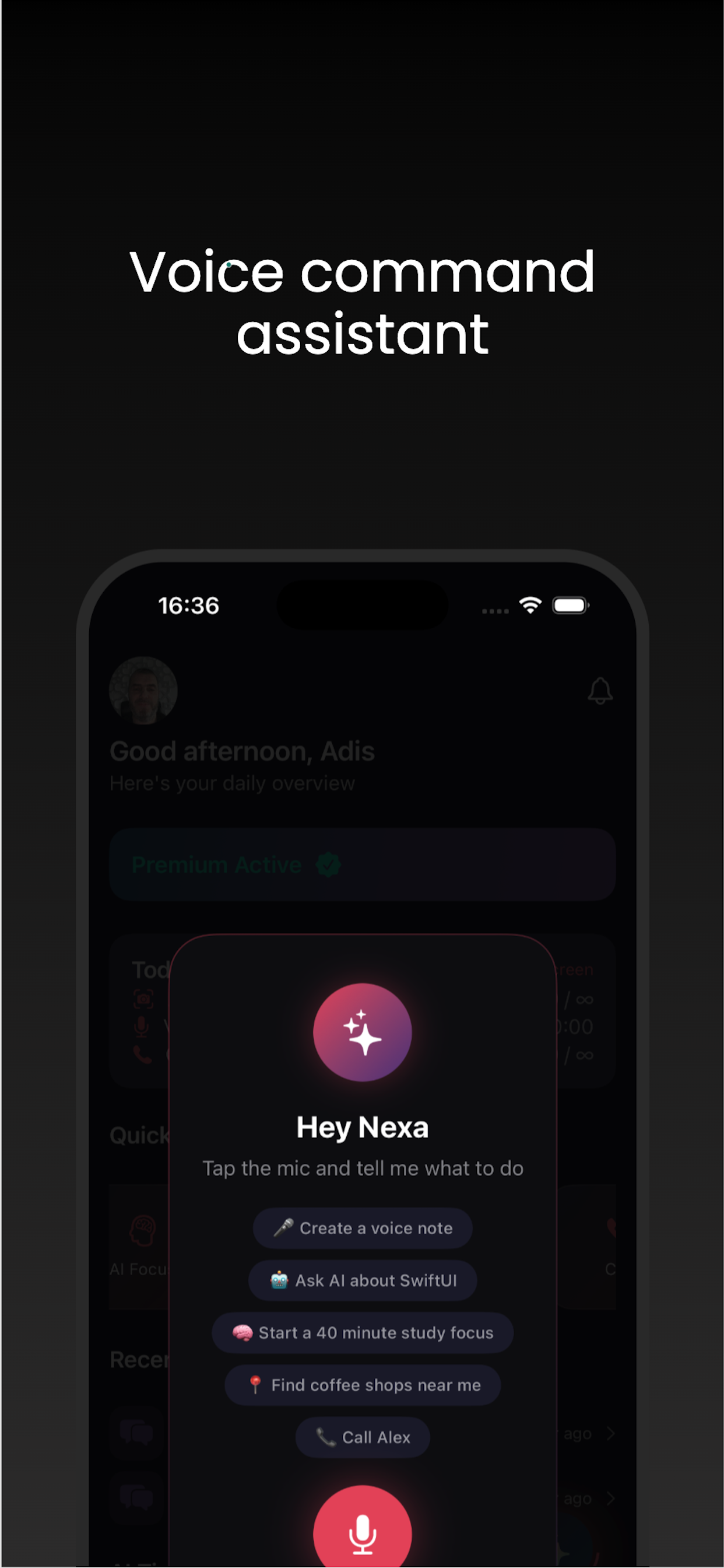 Nexa Demo screenshot